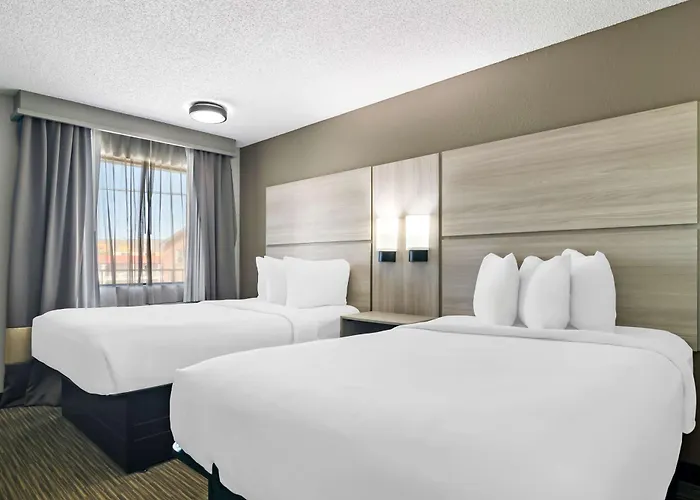Best Western The Oasis At Joplin